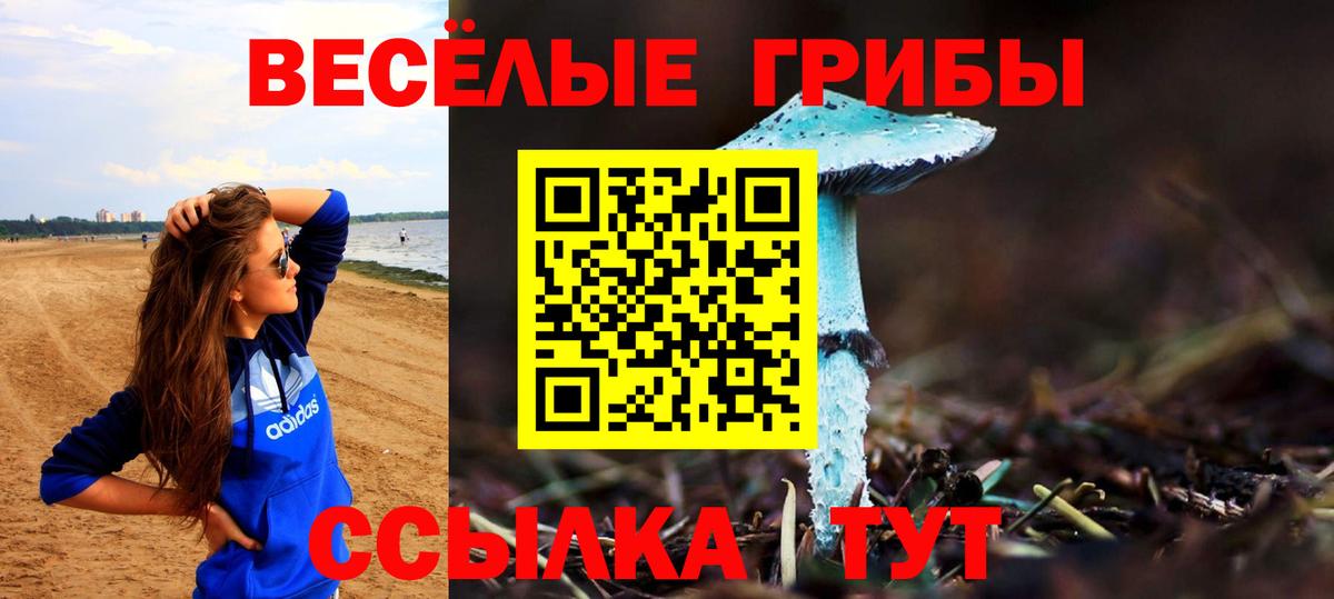 Псилоцибиновые грибы Psilocybe  как найти закладки  Шелехов  Вход с VPN 